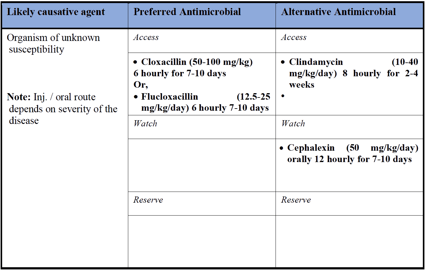 Skin Infection Cellulitis