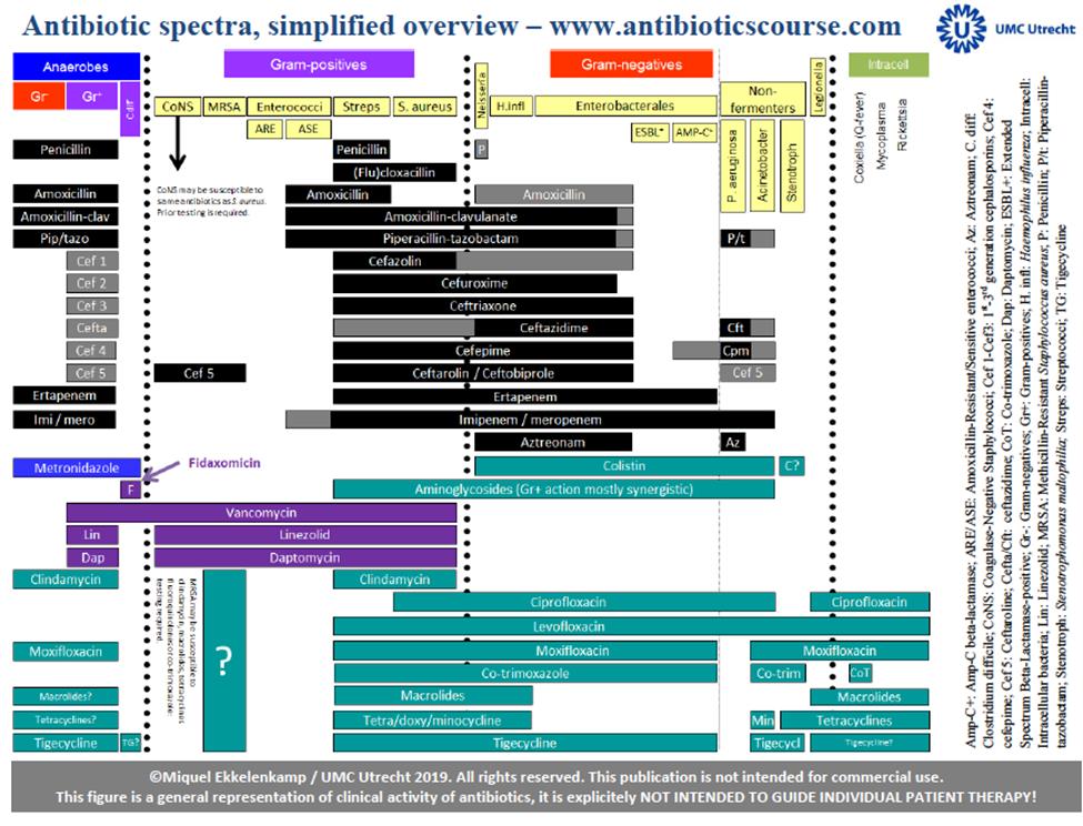 Antibiotic Coverage