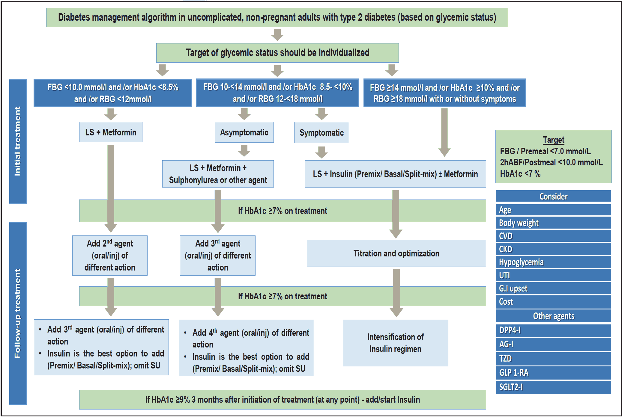 Figure 3.1 Type 2 diabetes management algorithm