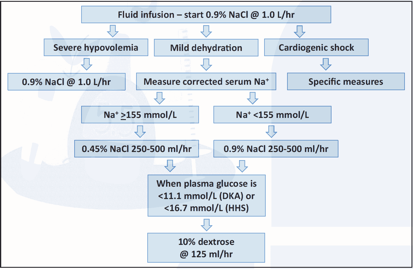Figure 4.1 Fluid infusion protocol (DKA, HHS)