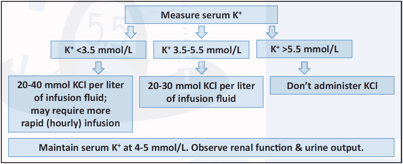 Figure 4.3 Potassium infusion (DKA, HHS)3,4