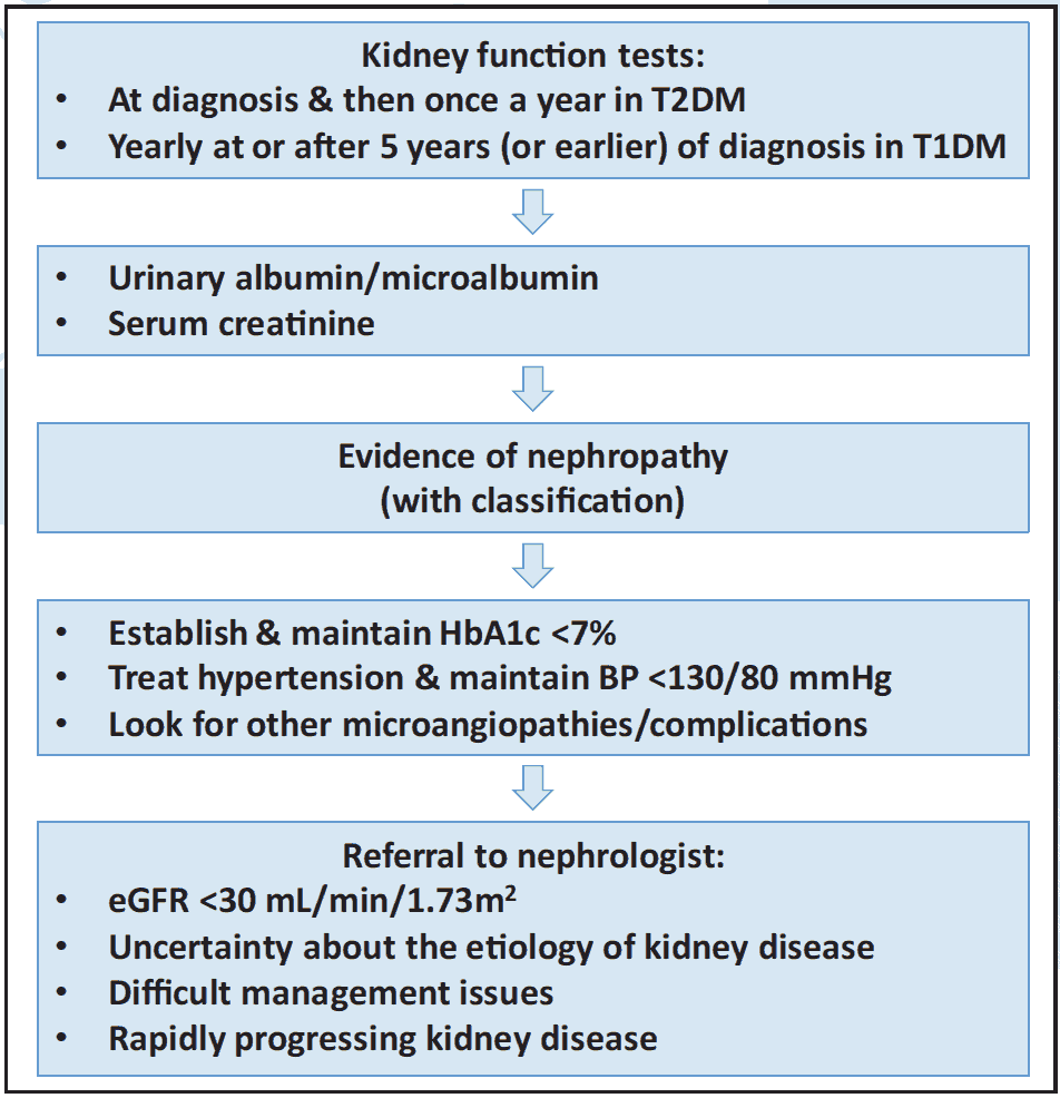Figure 5.1 Decision making path: nephropathy2