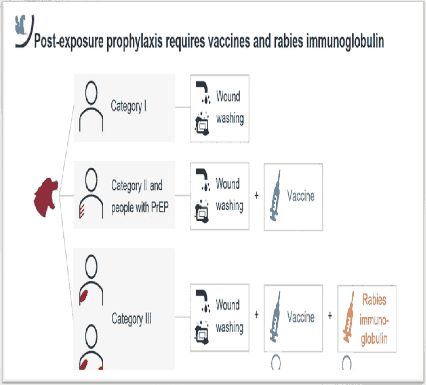 Annex 1: Post-exposure prophylaxis requires vaccines and rabies immunoglobulin.