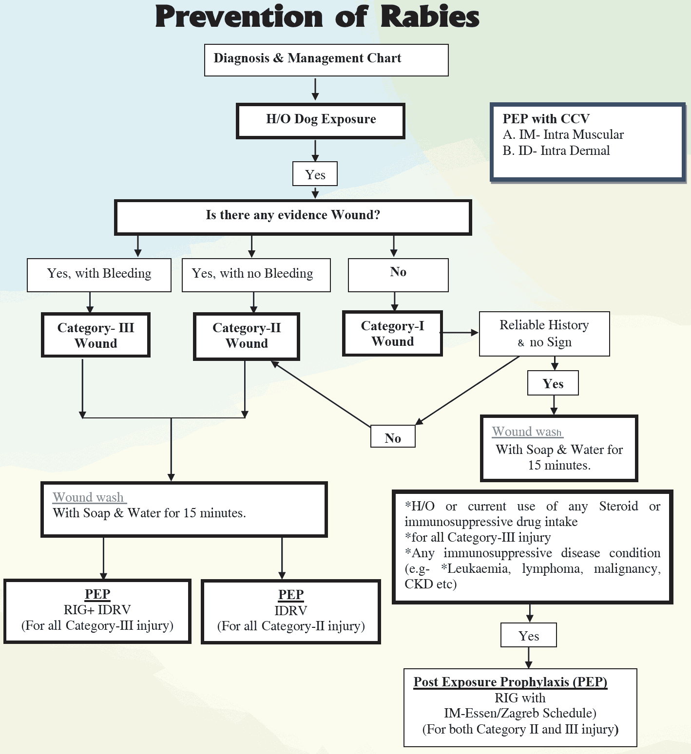 Annex 4: Schematic Diagram of Rabies Prevention and Post Exposure Prophylaxis (PEP)
